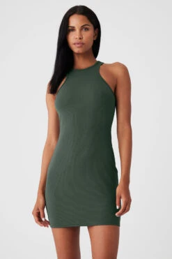 Airlift Ribbed Magnetic Dress - Dark Cactus